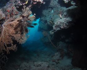 Luncheon Bay Dive Site - Holiday Find 2