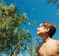 Bushwalking on Keswick Island - Holiday Find