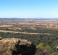 Basin Gully to Eualdrie lookout track - Holiday Find