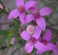 Self Drive Geology and Nature Trails - Holiday Find