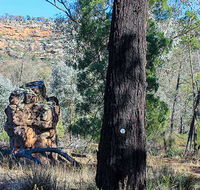 Eualdrie walking track - Holiday Find
