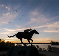 Black Caviar Statue - Holiday Find