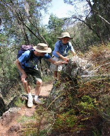 Suntop NSW Holiday Find