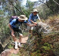 Mount Arthur Reserve