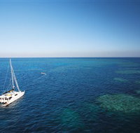 Bait Reef and Garys Lagoon Dive Site - Holiday Find