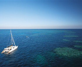 Bait Reef And Garys Lagoon Dive Site - Holiday Find 0