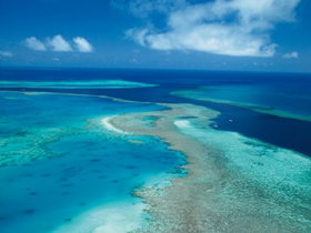 Fairey Reef - Holiday Find 2