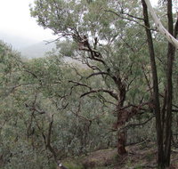 Mount Murga walking track - Holiday Find