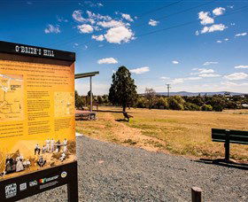 O'Brien's Hill - Holiday Find 0