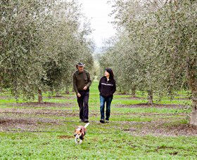 Wollundry Grove Olives - Holiday Find 3