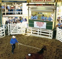 Gracemere Exhibition Complex - Holiday Find
