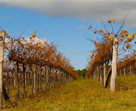 Charles Sturt University Winery Wagga Wagga - Holiday Find 3