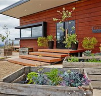 Food I Am Cooking School - Holiday Find