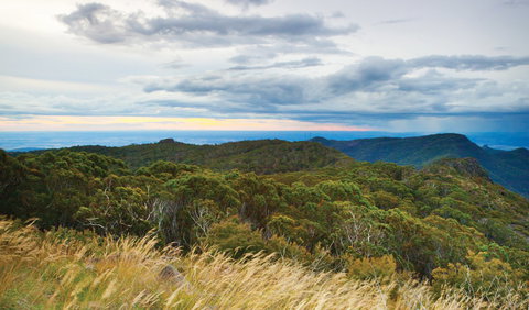 Doug Sky Lookout - Holiday Find 2