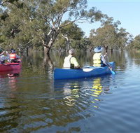Doodle Cooma Swamp - Holiday Find