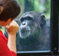 The Rockhampton Zoo - Holiday Find
