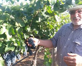 Rosnay Organic Farm And Vineyard - Holiday Find 6