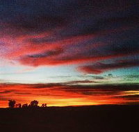 Springview Eco-Farm - Holiday Find