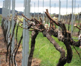 Stockmans Ridge Wines - Holiday Find 2