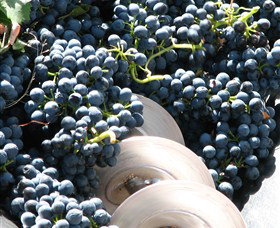 Orange Mountain Wines - Holiday Find 2