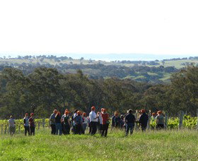 Cargo Road Wines - Holiday Find 4