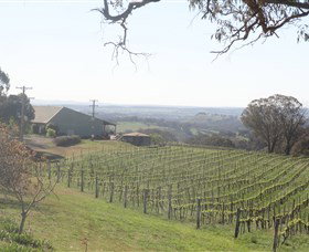 Cargo Road Wines - Holiday Find 1