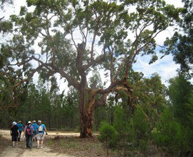Warialda NSW Holiday Find
