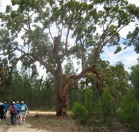 Koorilgur Nature Reserve - Holiday Find