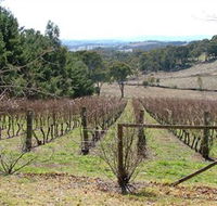 Habitat Vineyard - Holiday Find