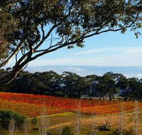 Bloodwood Estate - Holiday Find