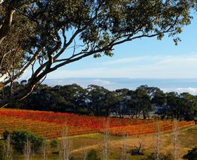 Bloodwood Estate - Holiday Find 0