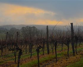 Bloodwood Estate - Holiday Find 1