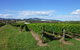 Hedberg Hill Wines - thumb 0