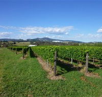 Hedberg Hill Wines - Holiday Find