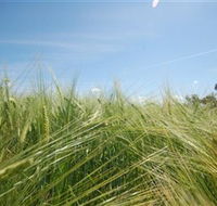 150 Degrees East Meridian - Holiday Find