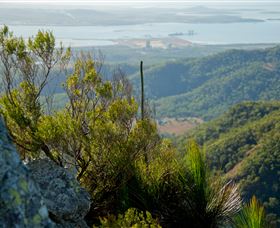 Mount Larcom Climb - Holiday Find 1