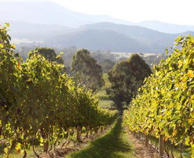 Pizzini Wines King Valley - Holiday Find 3