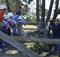 Harlow Park Horse Riding - Holiday Find