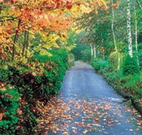 Mount Wilson and Mount Irvine - Holiday Find