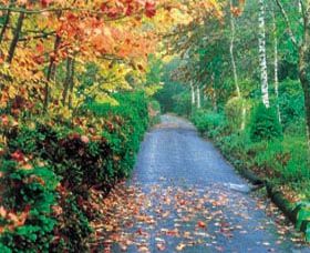 Mount Wilson And Mount Irvine - Holiday Find 0