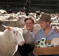 Prom Country Cheese - Holiday Find