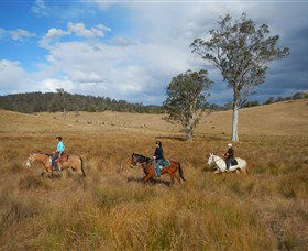 Chapman Valley Horse Riding - Holiday Find 0