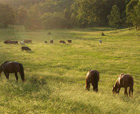 Chapman Valley Horse Riding - Holiday Find 4