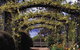 Blue Mountains Botanic Garden - thumb 0