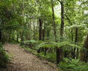 Blue Mountains Botanic Garden - Holiday Find 3