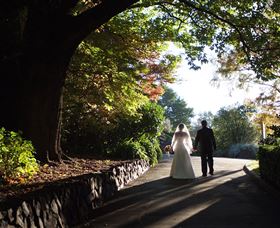Blue Mountains Botanic Garden - Holiday Find 7