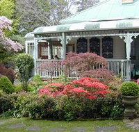 Falls Gallery - Holiday Find