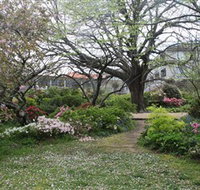 Hamilton Spa - Holiday Find