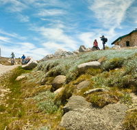 Mount Kosciuszko Summit walk - Holiday Find