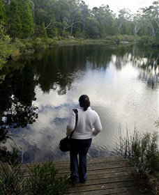Boonoo Boonoo Falls National Park - Holiday Find 1